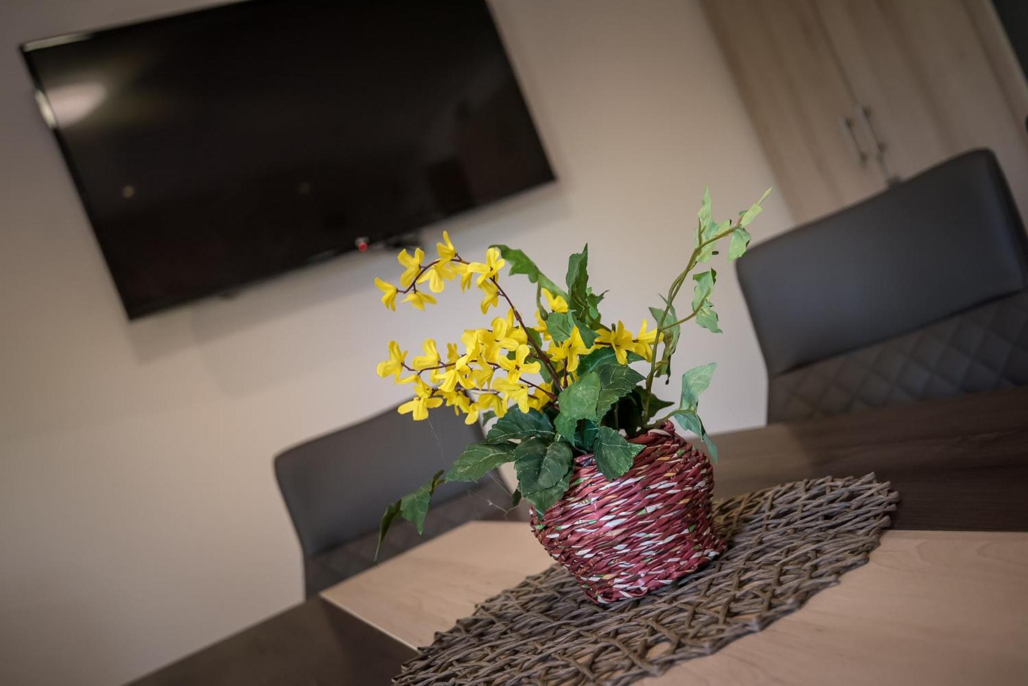 Mokka Apartman سيغيد المظهر الخارجي الصورة