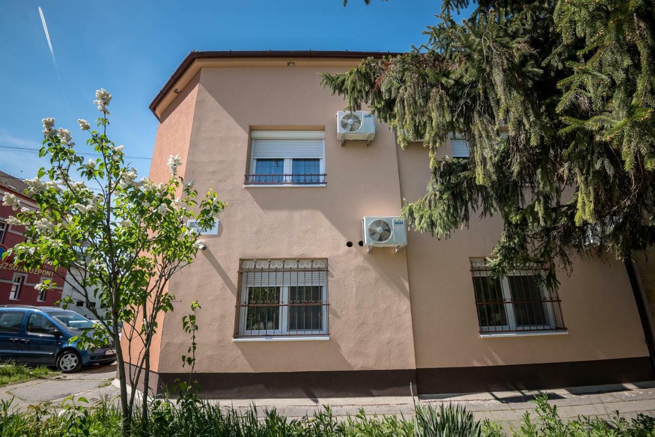 Mokka Apartman سيغيد المظهر الخارجي الصورة